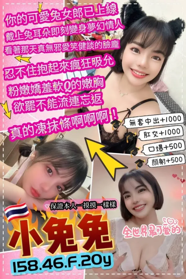 台北定點茶-小兔兔