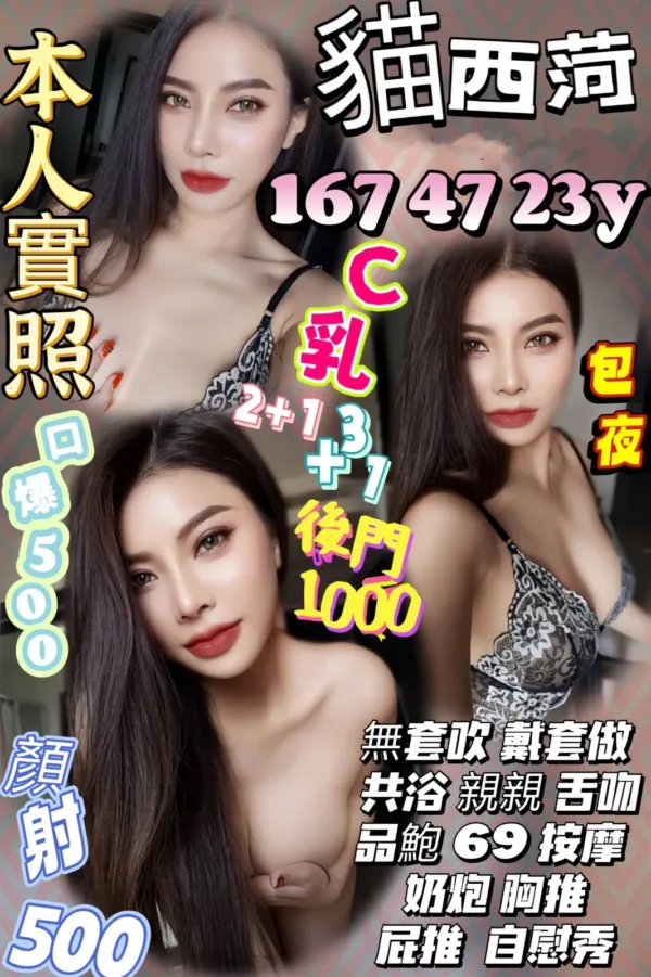 新竹定點茶-貓西菏