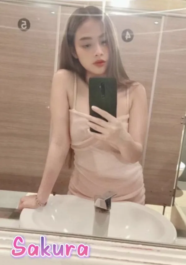 桃園定點茶-Sakura