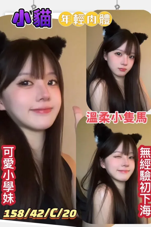 高雄定點茶-小貓 高雄定點茶-小貓