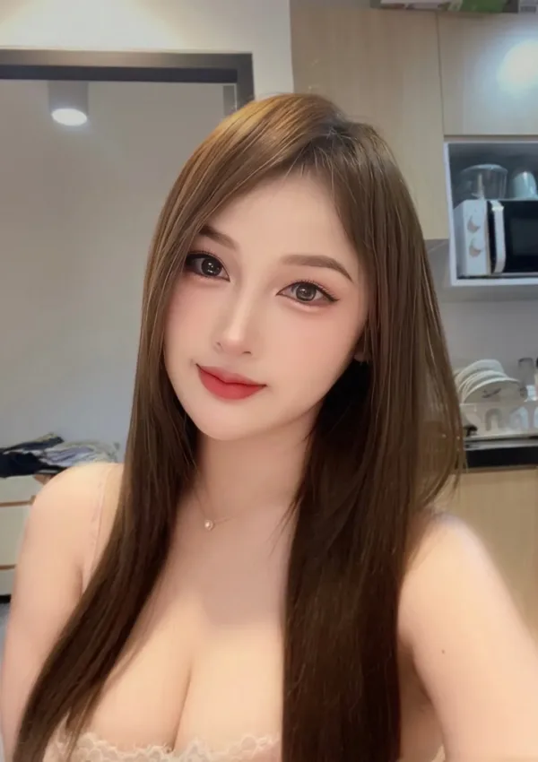 台北定點茶-高圓圓 台北定點茶-高圓圓